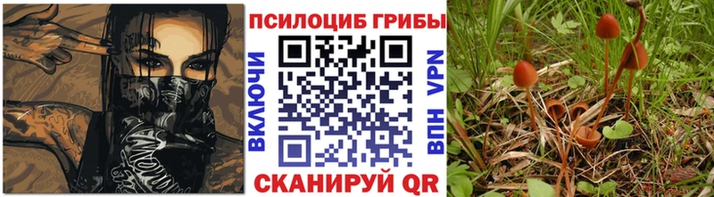Псилоцибиновые грибы Magic Shrooms  MEGA маркетплейс  Новомосковск 